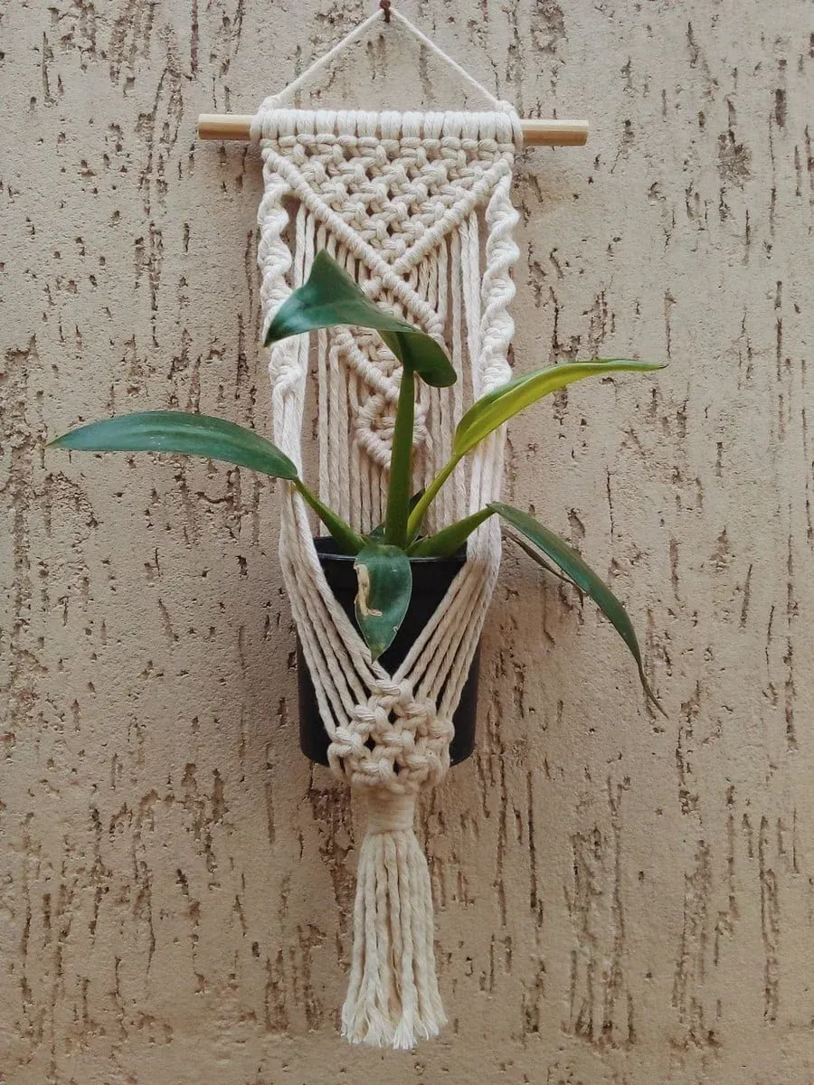 Suporte de Plantas Parede